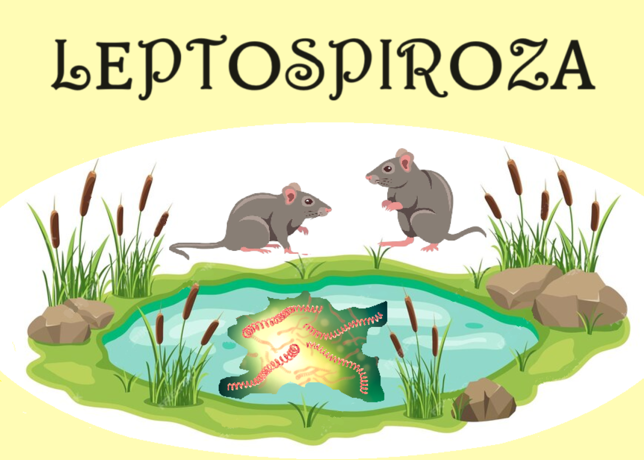Leptospiroza_naslov_WEB