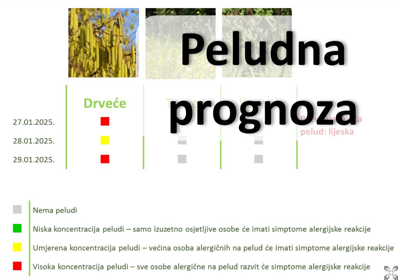 Peludna prognoza početak 2025